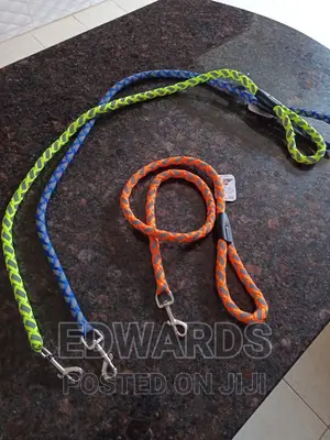 Dog Leash Orange