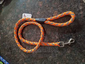 Dog Leash Orange