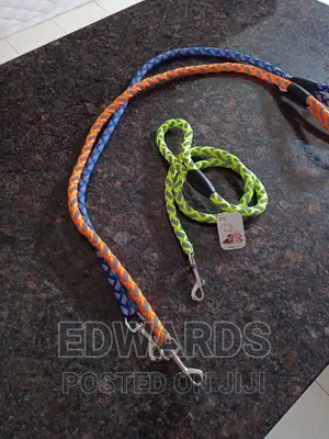 Dog Leashes Green