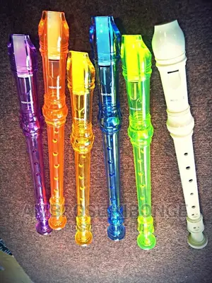 German Style 8 Hole Soprano Flute Recorder With Cleaning Rod
