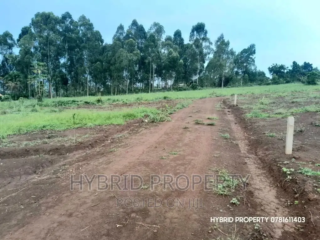 Prime Plots for Sale at Our Maya~Nanziga Estate~Masaka Road.