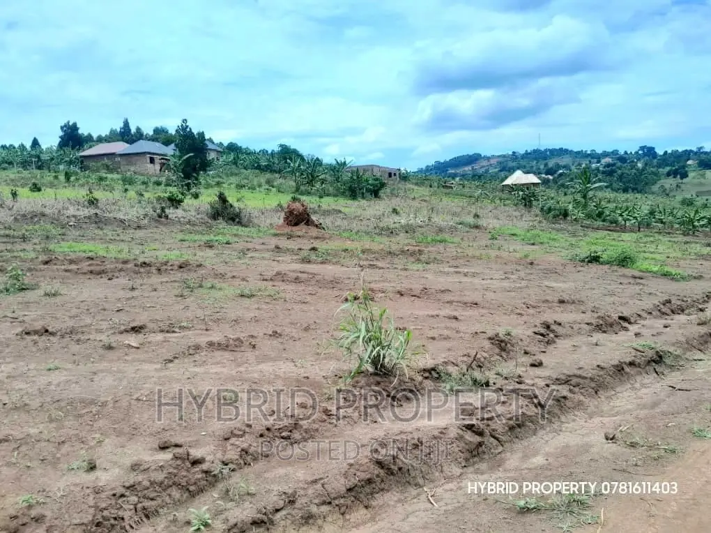 Prime Plots for Sale at Our MayaNanziga EstateMasaka Road. in Nsangi