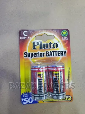 Pruto Type C Non Rechargeable Batteries