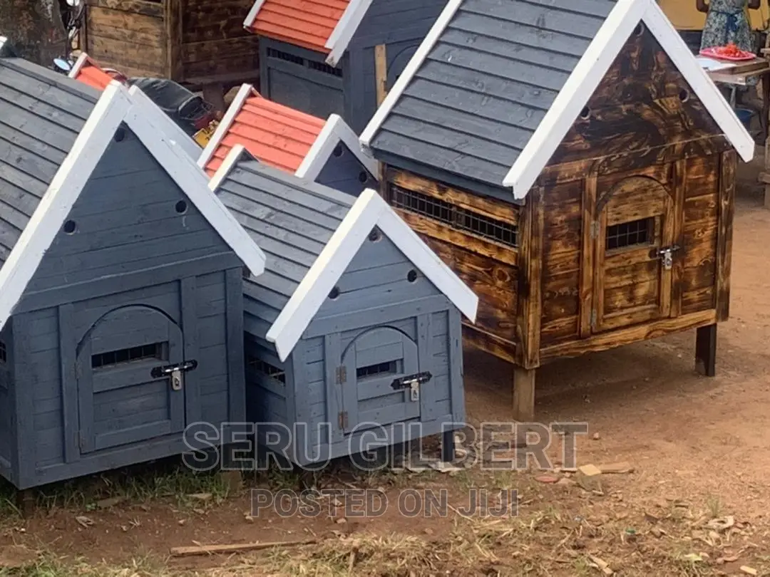Xd Dog House