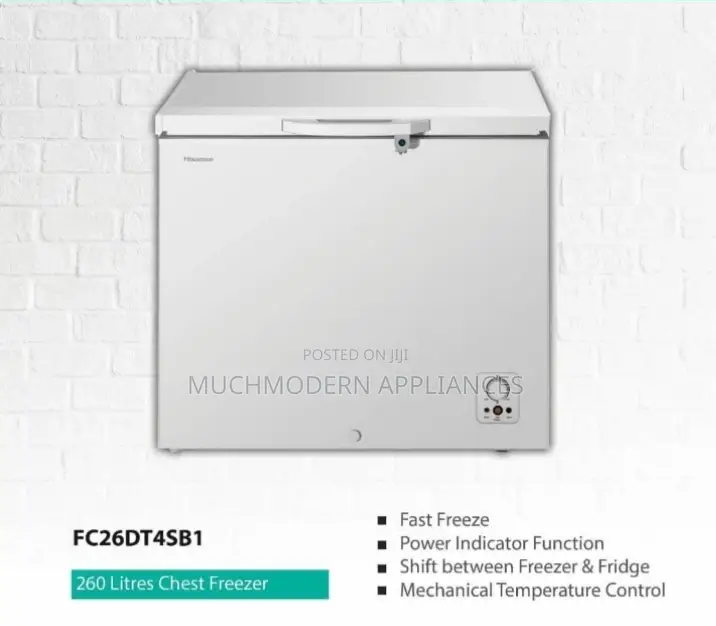 Freezer 260L Hisense