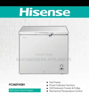 Freezer 260L Hisense
