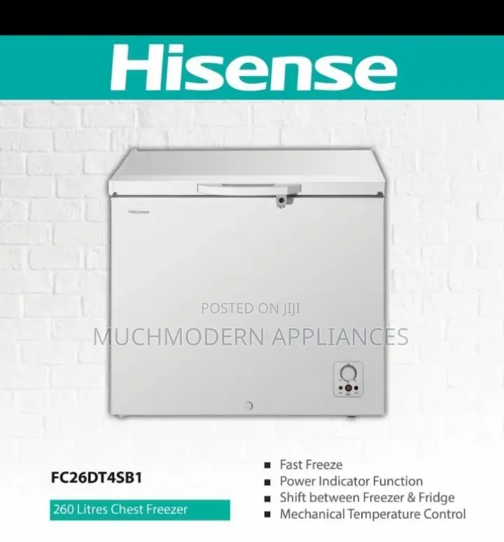 Freezer 260L Hisense