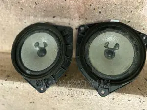 Pioneer Door Speakers