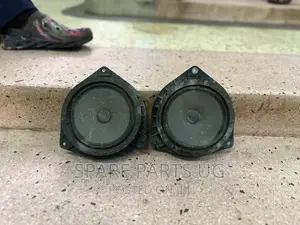 Pioneer Door Speakers