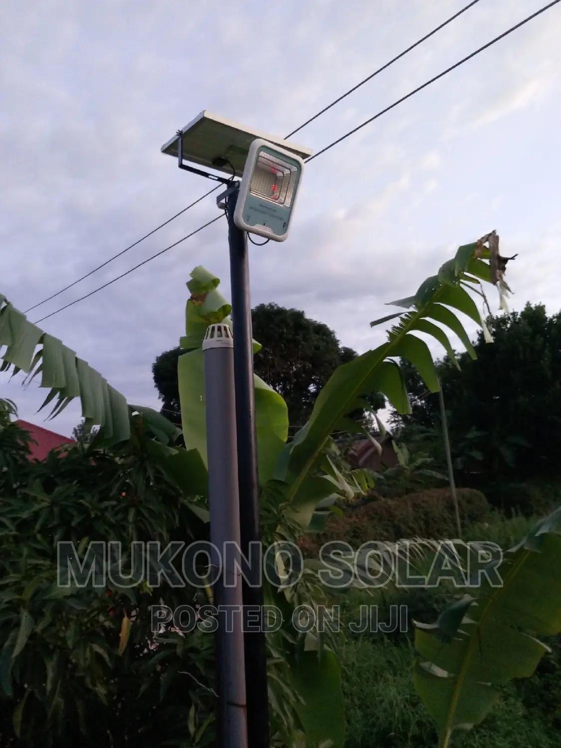 Solar Street Lights and Compound Lights