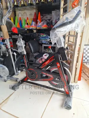 Exercise Bike For Indoor Exercises. Good Quality And Flame