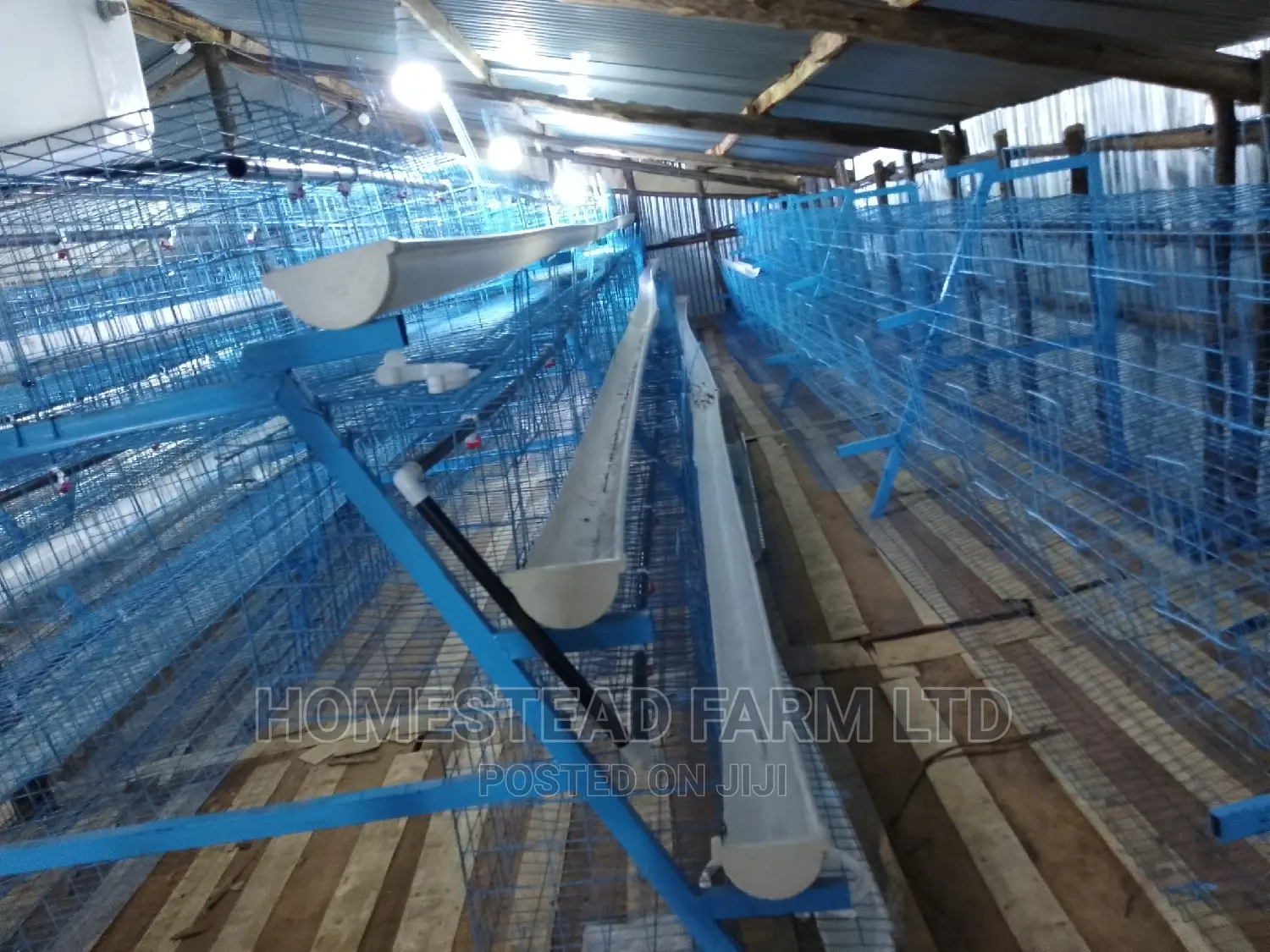 Special. Xmas Offer 120layer Plastic Coated Layer Cages
