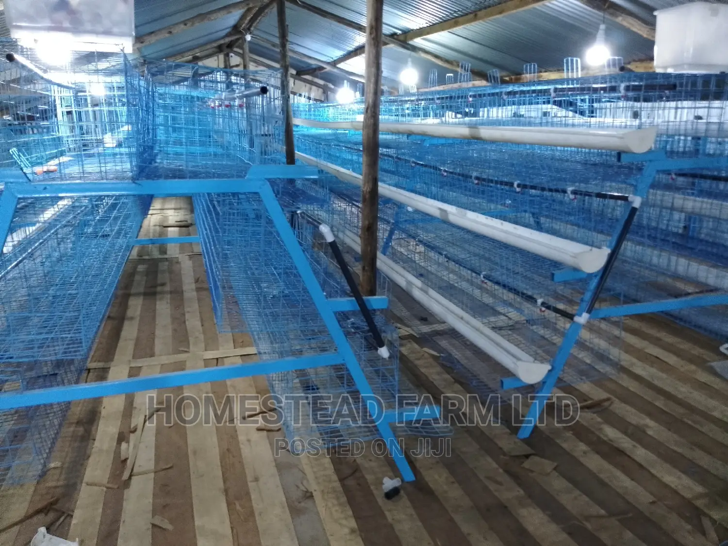 Special. Xmas Offer 120layer Plastic Coated Layer Cages