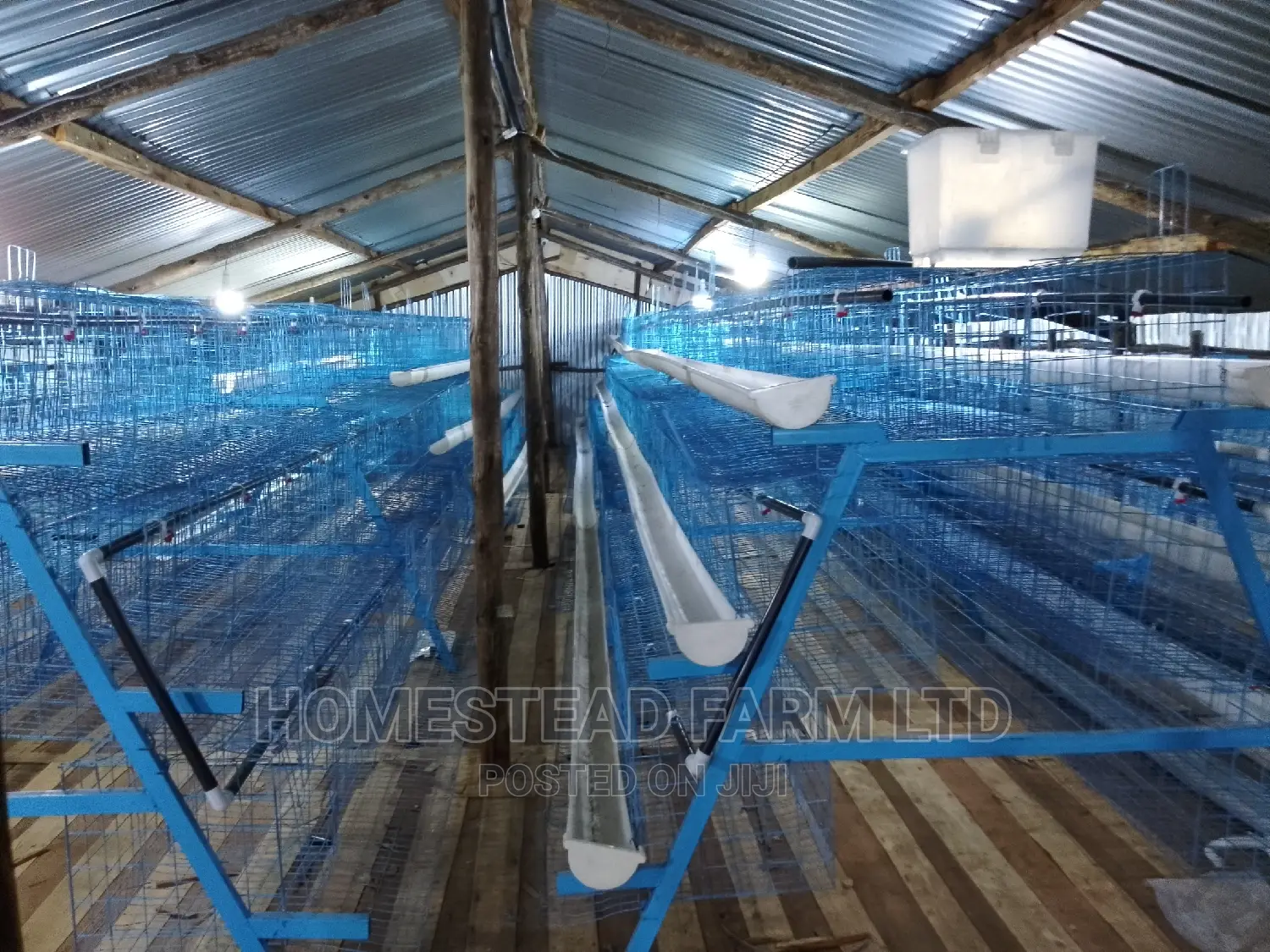 Special. Xmas Offer 120layer Plastic Coated Layer Cages