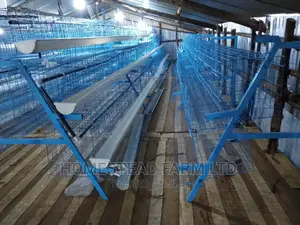Special. Xmas Offer 120layer Plastic Coated Layer Cages
