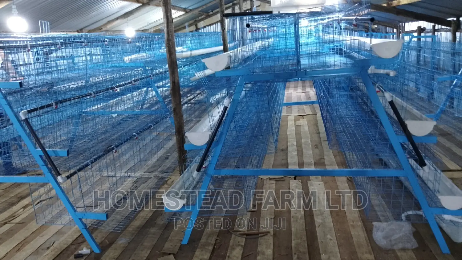 Special. Xmas Offer 120layer Plastic Coated Layer Cages