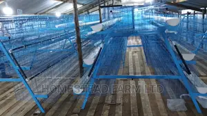Special. Xmas Offer 120layer Plastic Coated Layer Cages