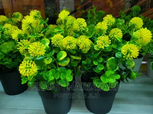 Designes Flower Pots