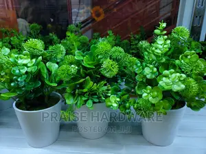 Designes Flower Pots