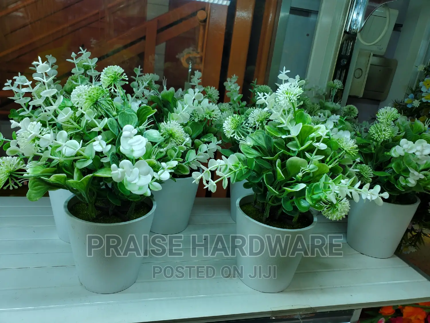 Designes Flower Pots
