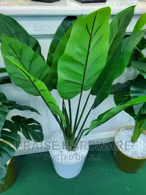 Designes Flower Pots