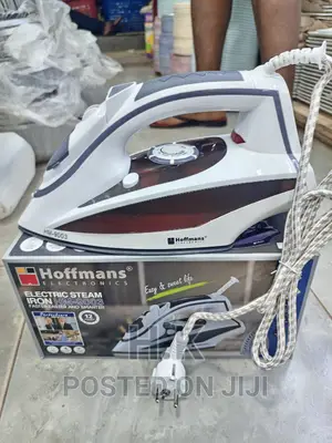 Hoffman Electric Steam Iron