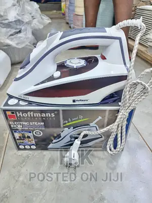 Hoffman Electric Steam Iron