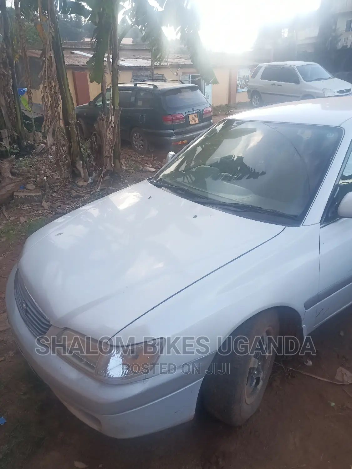 Toyota Premio 2004 White