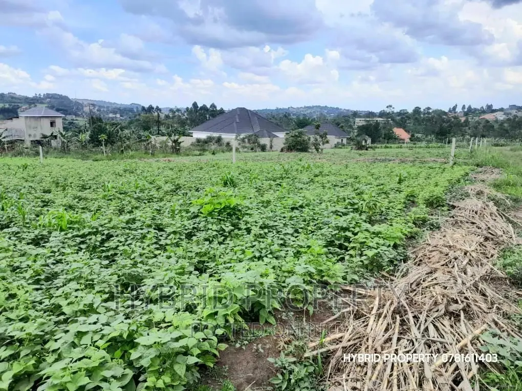 Prime Plots for Sale at Wakiso~Bugwanya Along Hoima Road II.