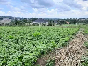 Prime Plots for Sale at Wakiso~Bugwanya Along Hoima Road II.