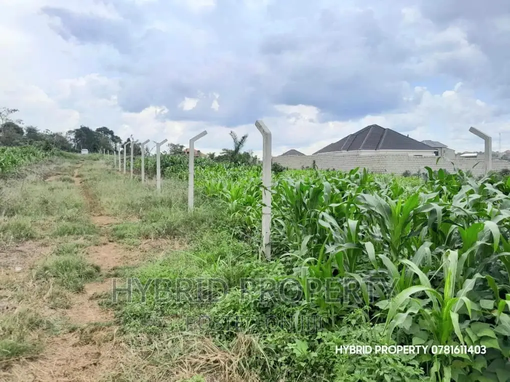 Prime Plots for Sale at Wakiso~Bugwanya Along Hoima Road II.