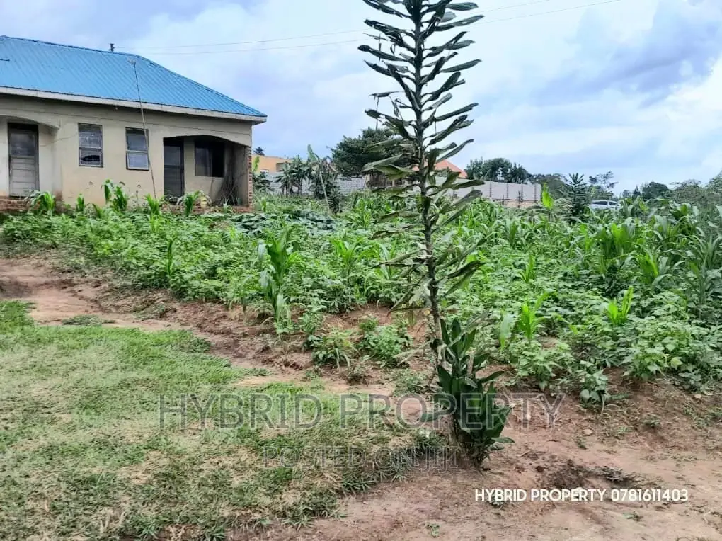 Prime Plots for Sale at Wakiso~Bugwanya Along Hoima Road II.