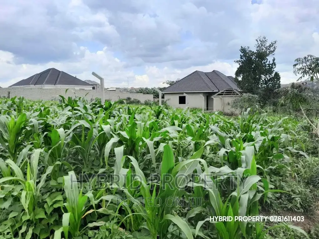 Prime Plots for Sale at Wakiso~Bugwanya Along Hoima Road II.