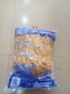 Mopping Broom