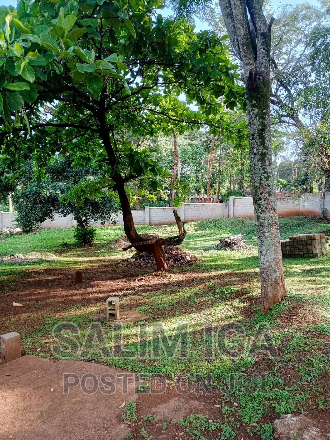 7bdrm Apartment in Kololo Property, Central Division for rent