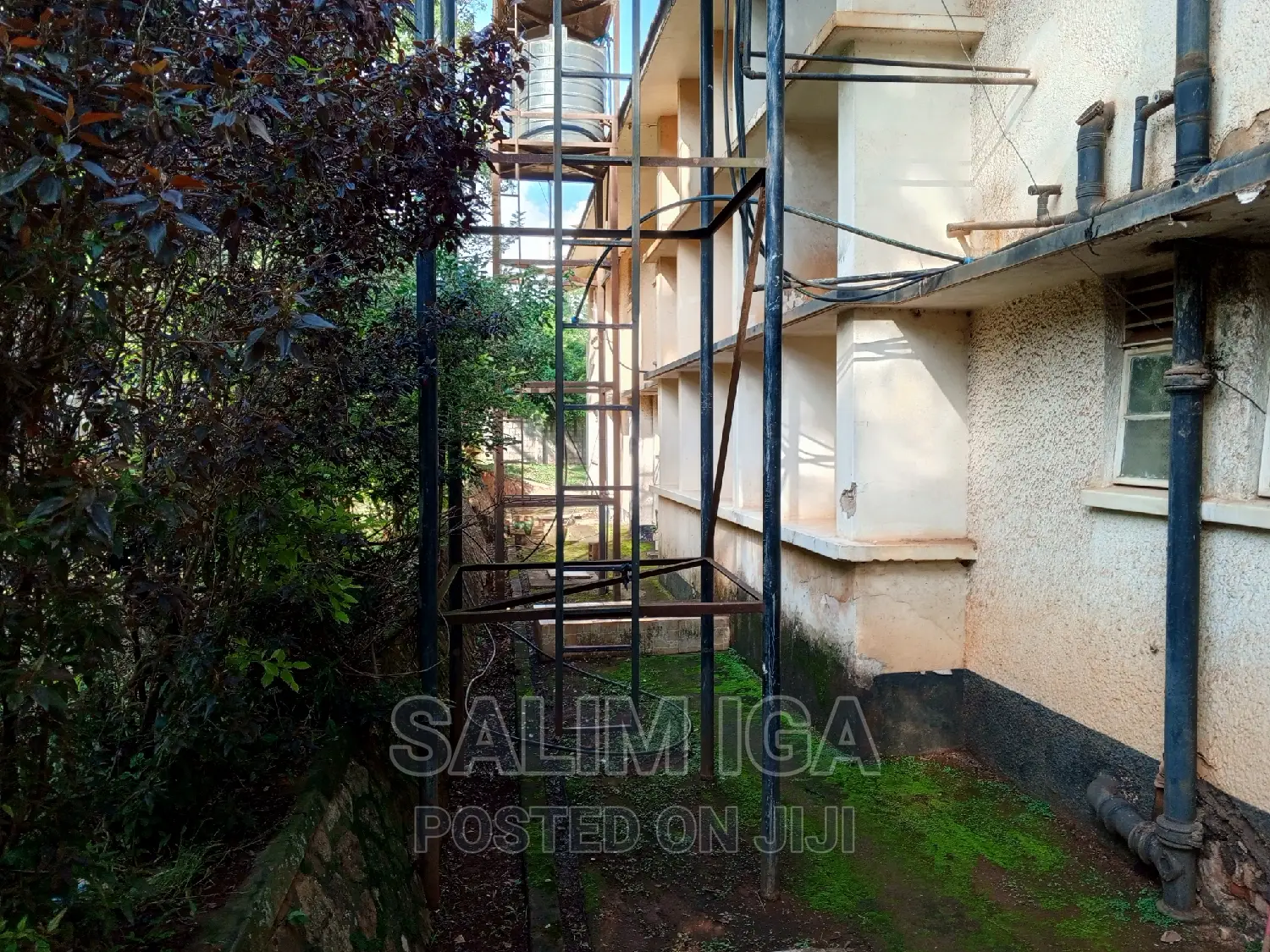 7bdrm Apartment in Kololo Property, Central Division for rent