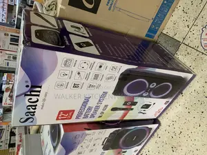 12” Professional Battery Speaker System NL-SP-6336