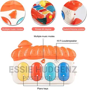 Musical Baby Play Gym Mat