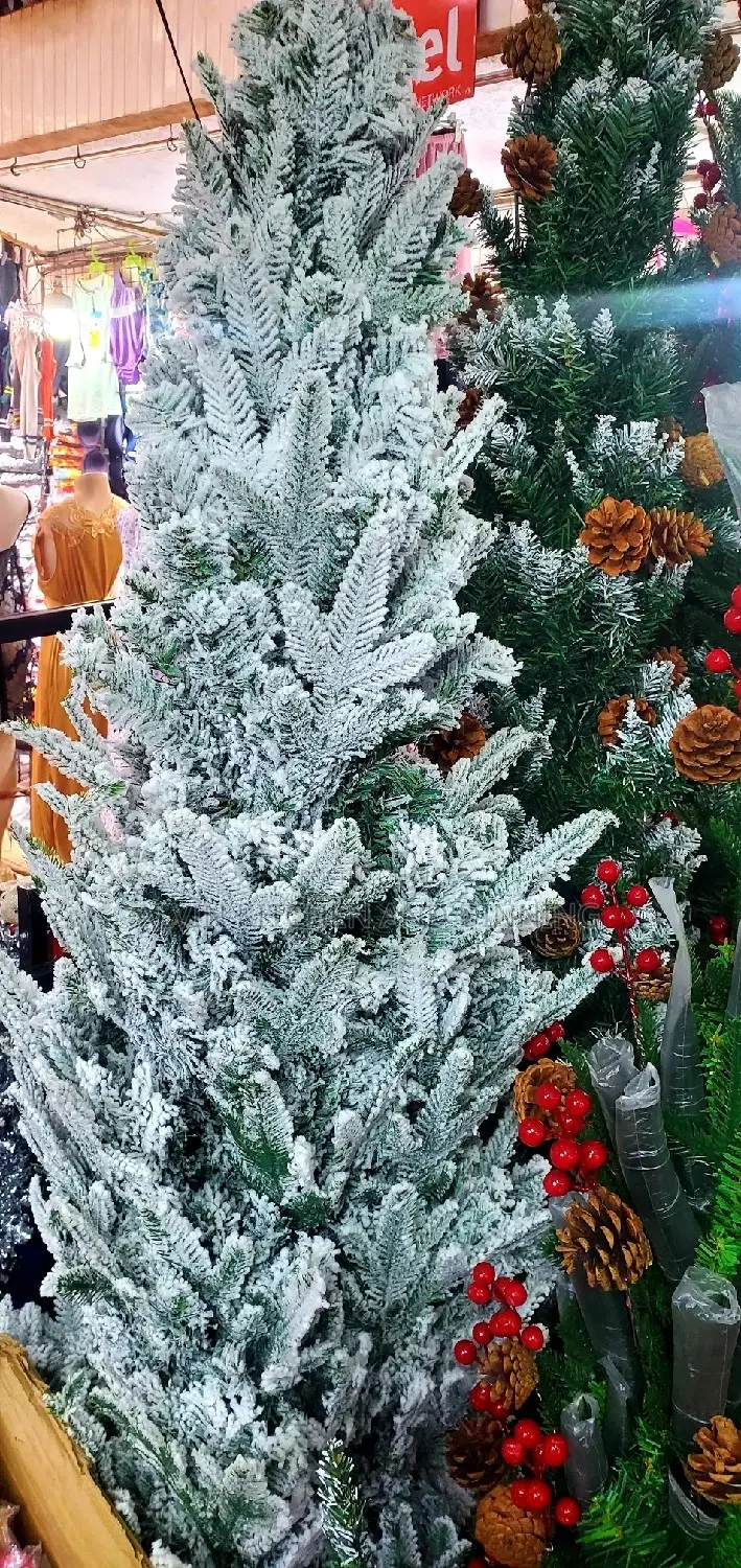 Big Christmas Tree