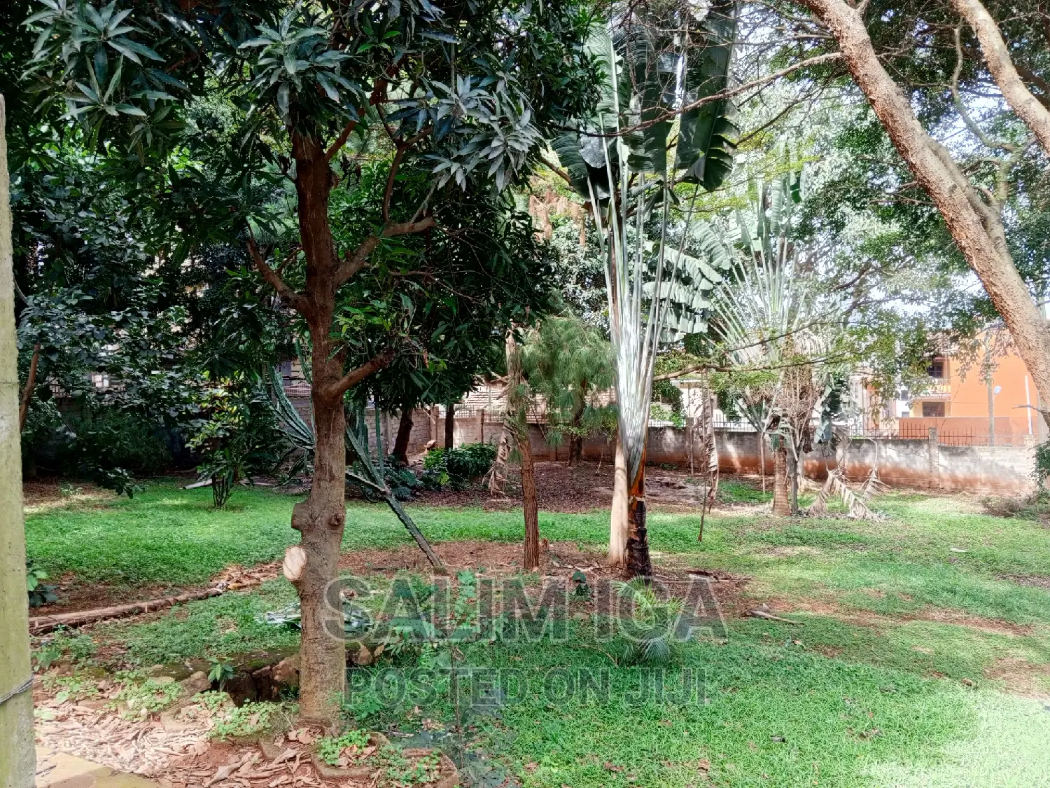 6bdrm Duplex in Kololo Property, Central Division for rent
