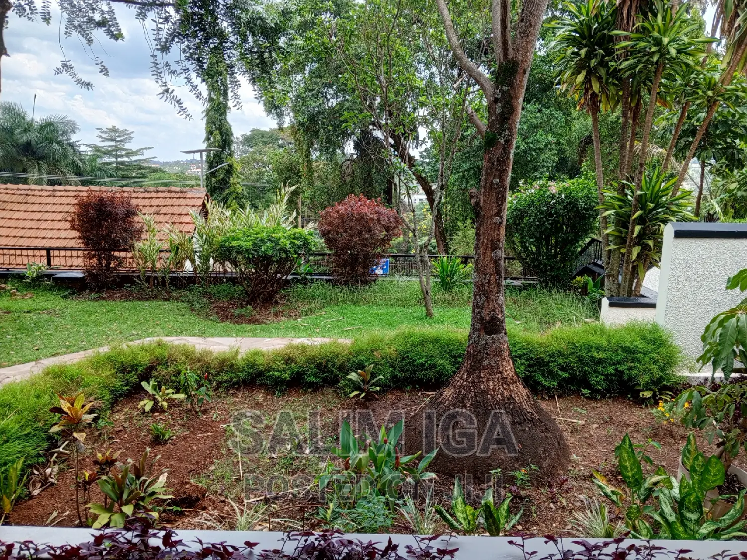 9bdrm Duplex in Kololo Property, Central Division for rent
