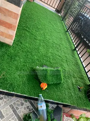 Grass Carpet Grass Carpet Grass Carpet