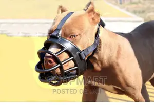 Pet Dog Muzzle Breathable Basket Muzzle
