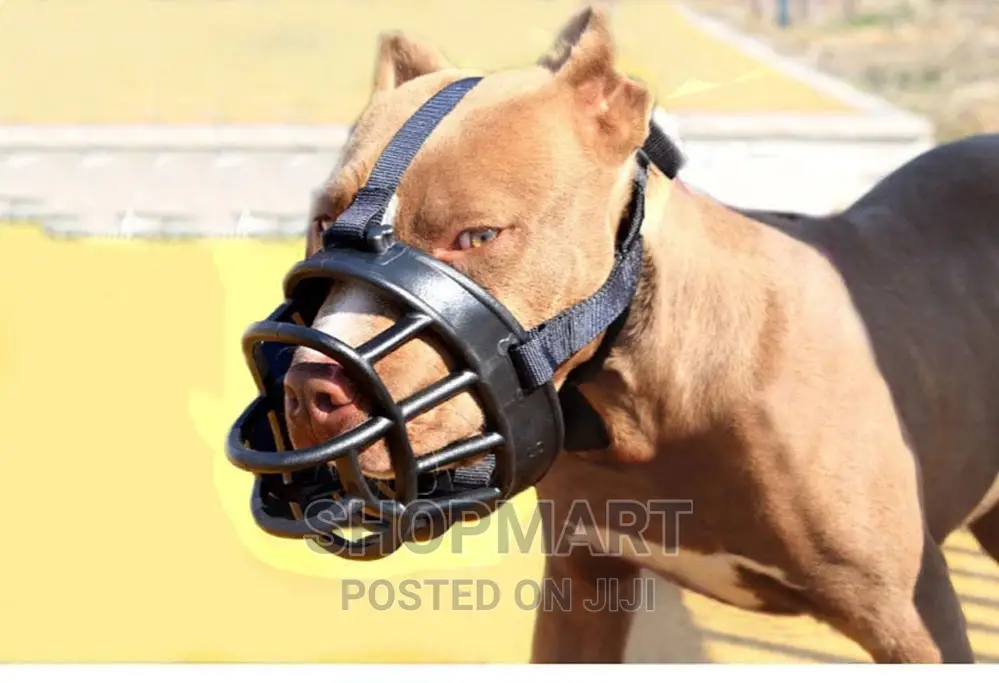 Pet Dog Muzzle Breathable Basket Muzzle