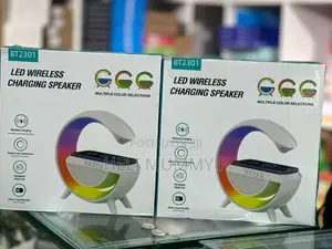 Google Wireless Speaker Charger