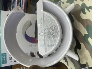 Google Wireless Speaker Charger