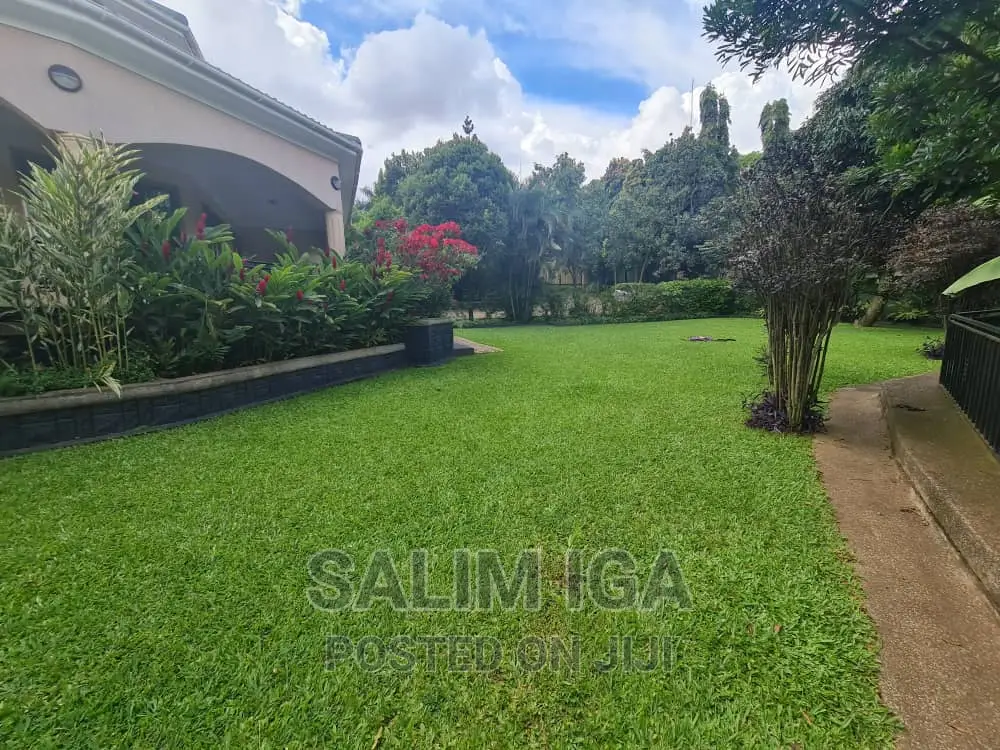 4bdrm Duplex in Kololo Property, Central Division for rent