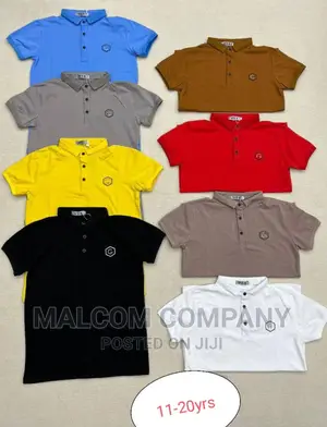 Polo Boy's Tshirts 10 to 15 Years