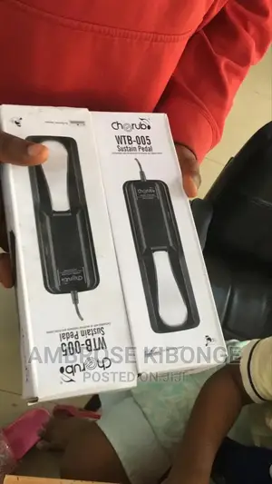 Portable Sustain Universal Foot Piano Keyboard Sustain Pedal