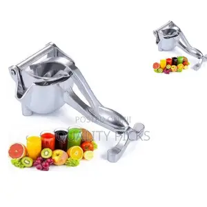Steel Citrus Juicer Press